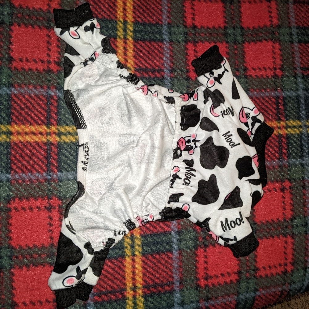 Dog clothes